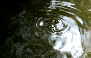 ripple on pond